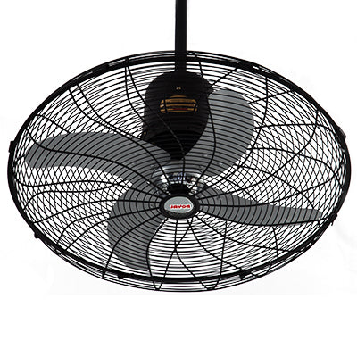 Royal Deluxe Circo Fan