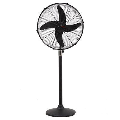 Royal Magnum Black Pedestal Fan