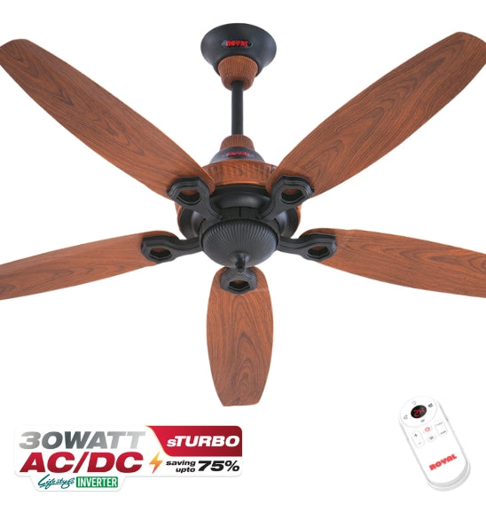 Royal Smart Lifestyle ACDC ceiling fan