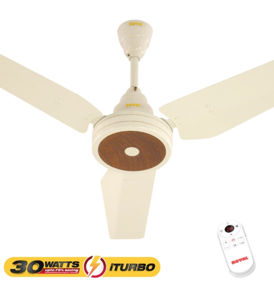 RL-050 - iTurbo 30 Watts Fan