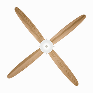 Royal Prestige Inverter Ceiling Fan with LED Light