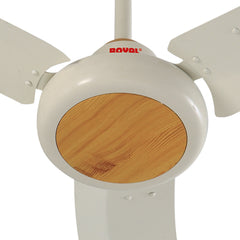 Royal Galant Ceiling Fan