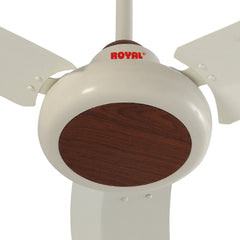 Royal Galant Ceiling Fan