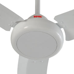 Royal Galant Ceiling Fan