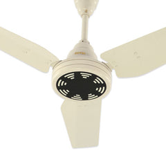 Royal Lifestyle Ceiling Fans - RL-050 - Revolve